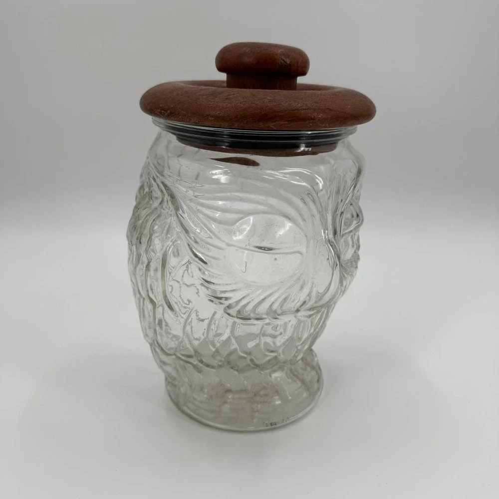 Vintage 70s Whimsical Glass Owl Kitchen Canister Storage Cookie Jar Teakwood Lid